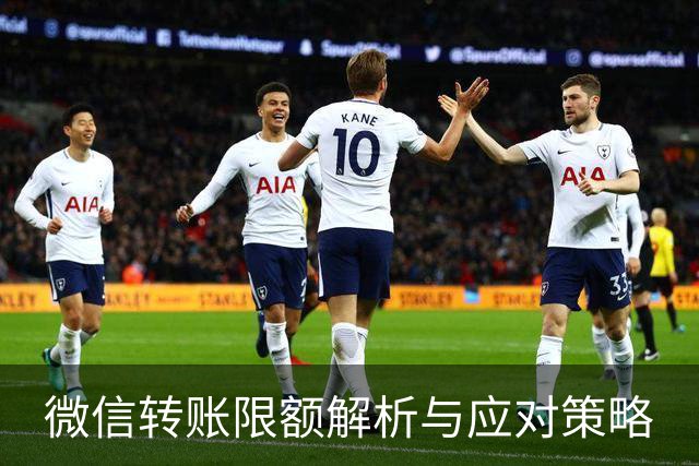 微信转账限额解析与应对策略